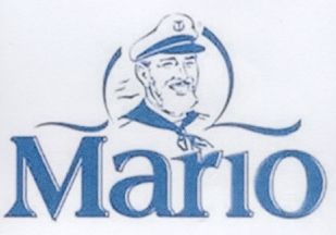 Paraqitja e markës Mario