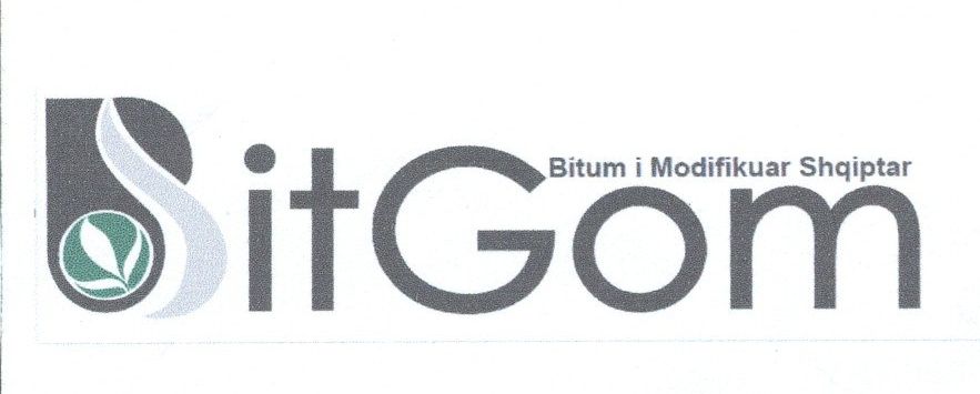 Paraqitja e markës BitGom