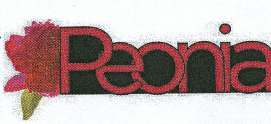 Paraqitja e markës Peonia
