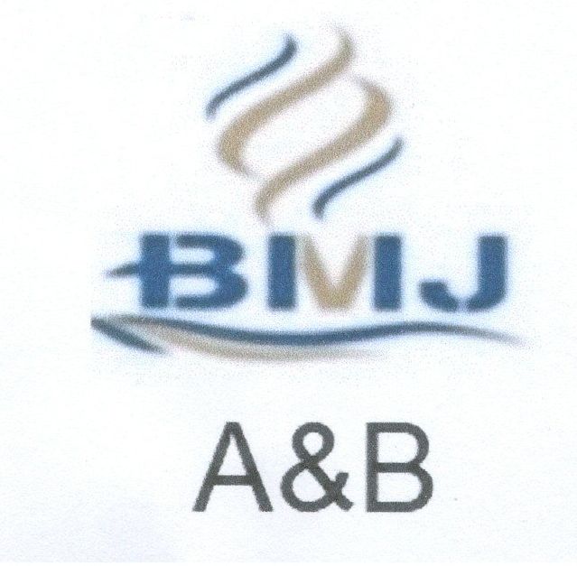 Paraqitja e markës BMJ A&B