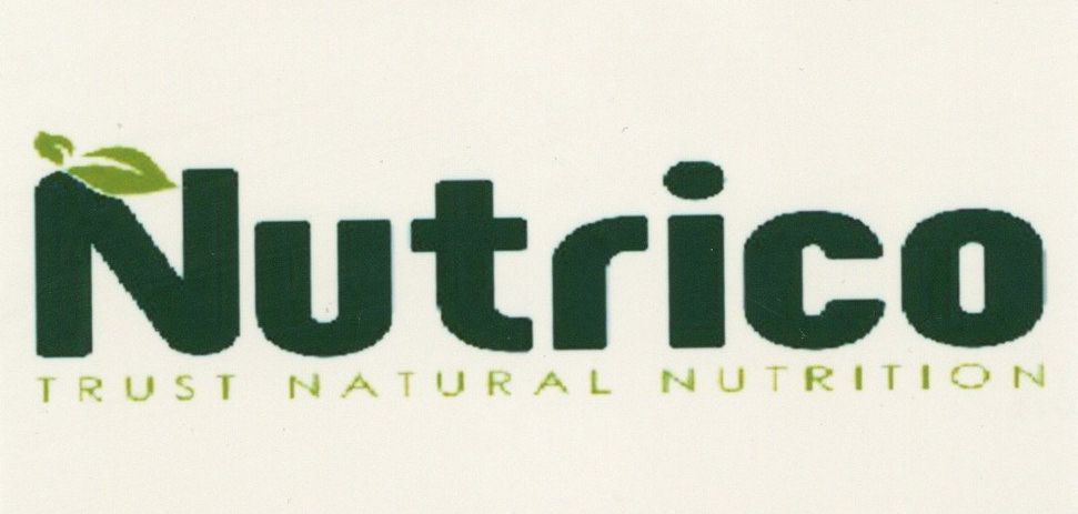 Paraqitja e markës Nutrico