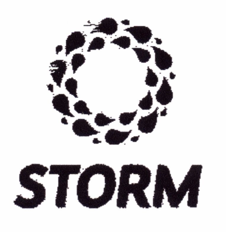 Paraqitja e markës STORM