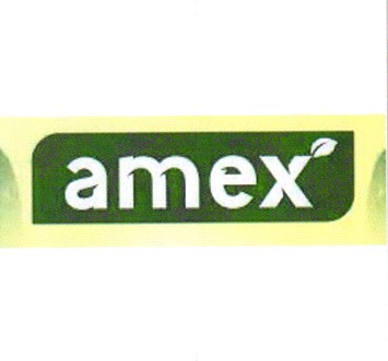 Paraqitja e markës Amex