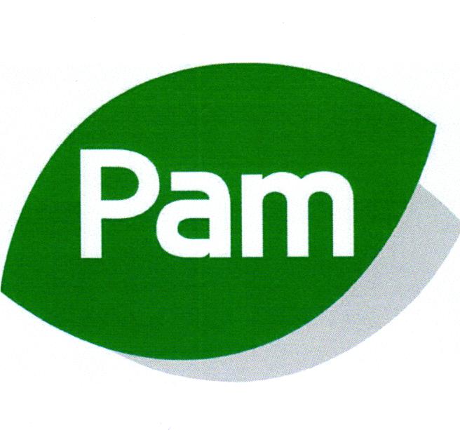 Paraqitja e markës PAM