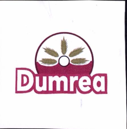 Paraqitja e markës DUMREA
