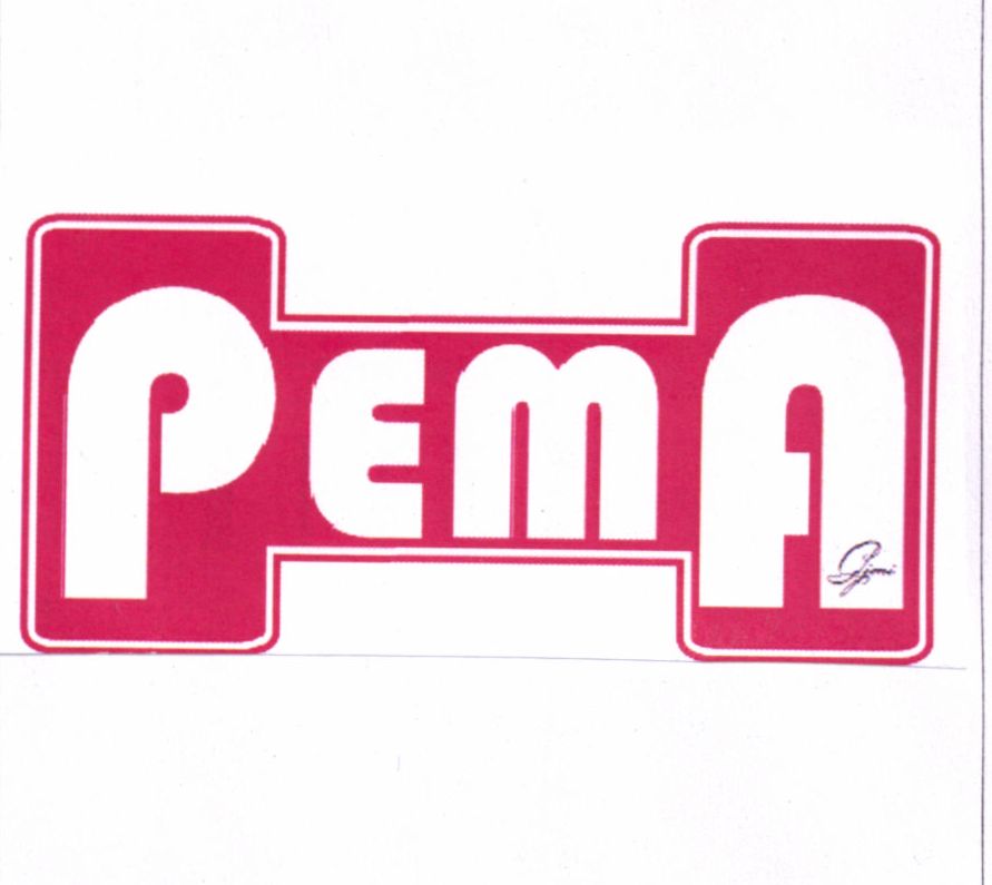 Paraqitja e markës PEMA