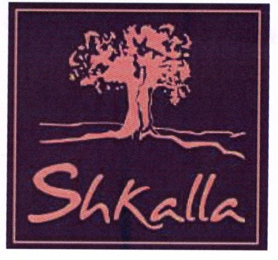 Paraqitja e markës Shkalla