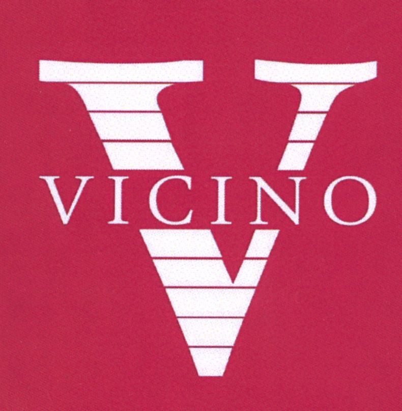 Paraqitja e markës V-Vicino
