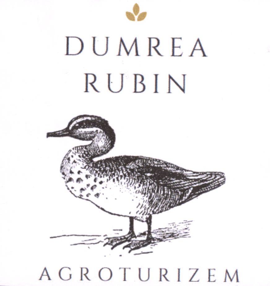 Paraqitja e markës DUMREA RUBIN AGROTURIZEM