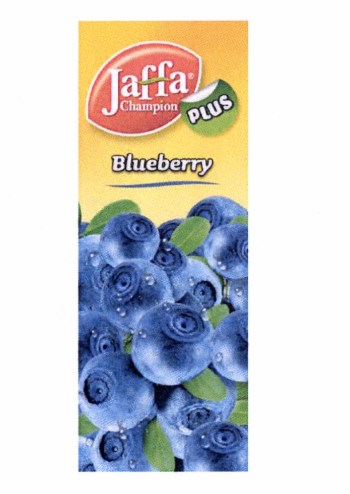 Paraqitja e markës Jaffa Champion plus