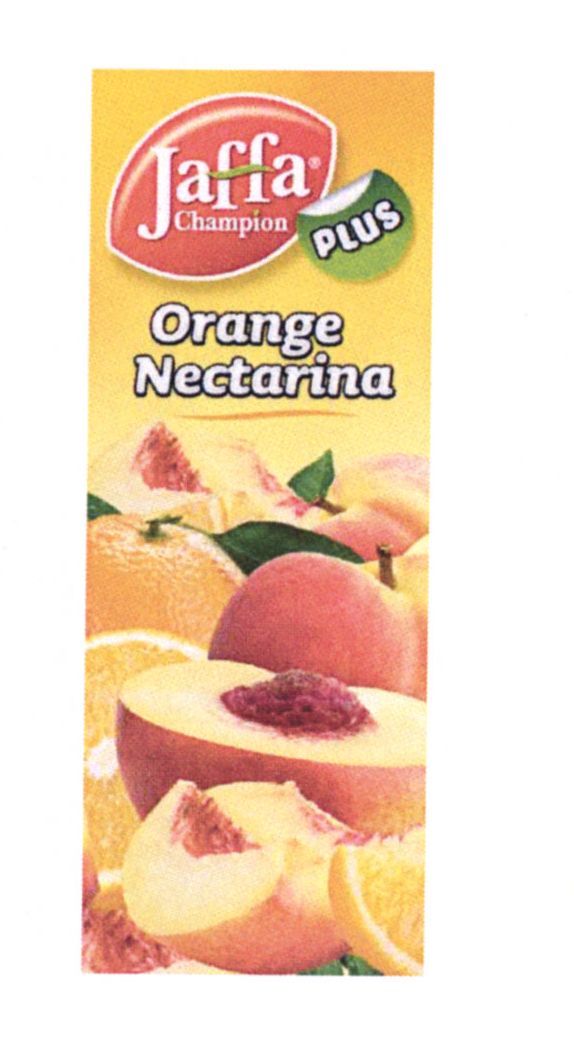 Paraqitja e markës Jaffa Champion plus
