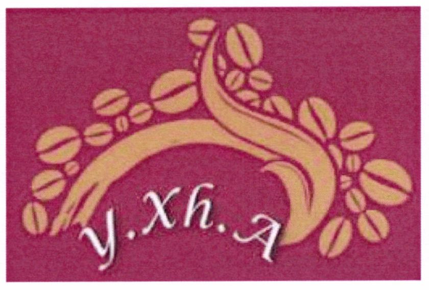 Paraqitja e markës Y.XH.A