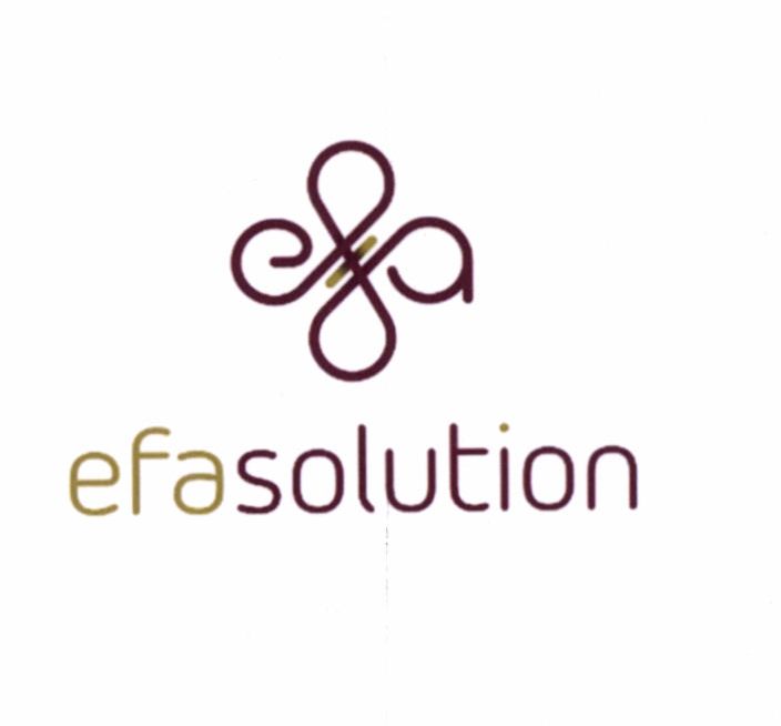 Paraqitja e markës Efa Solution
