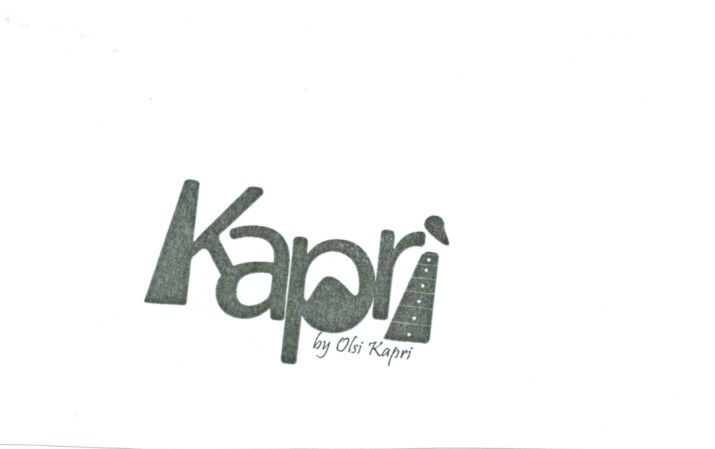 Paraqitja e markës KAPRI
