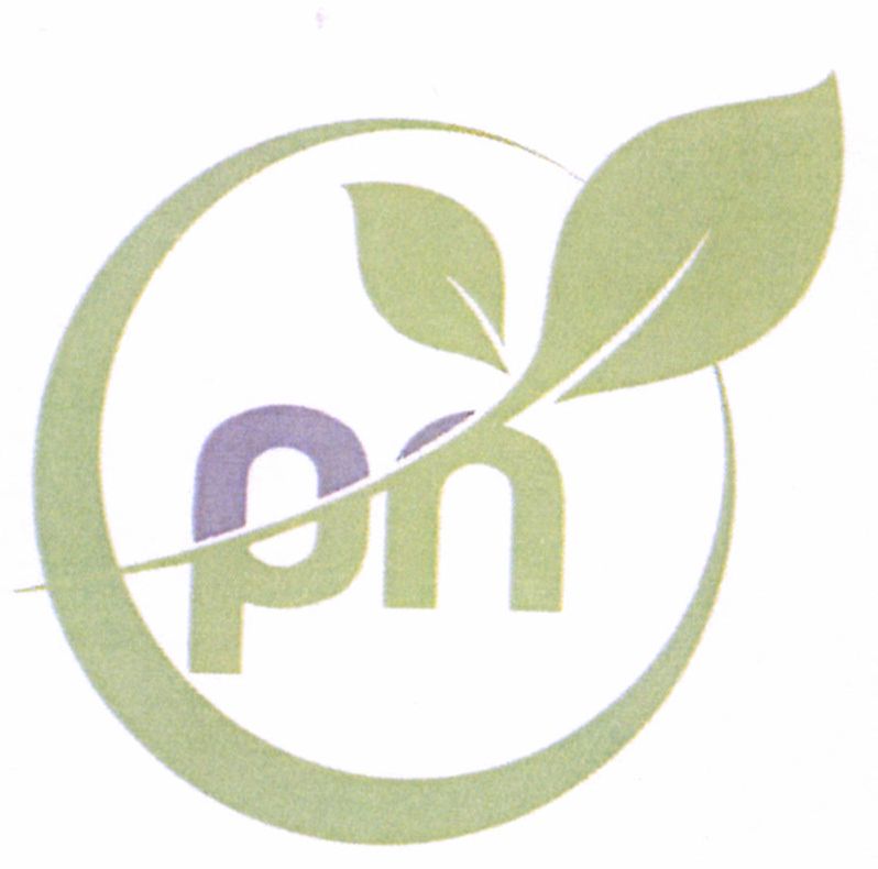 Paraqitja e markës pn