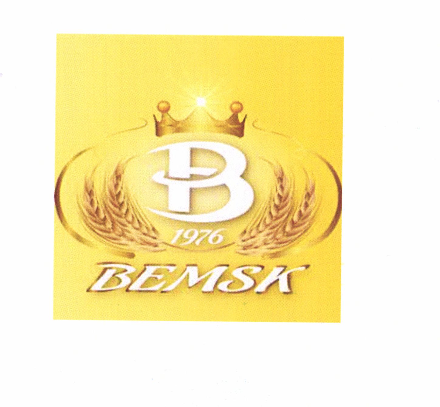Paraqitja e markës BEMSK