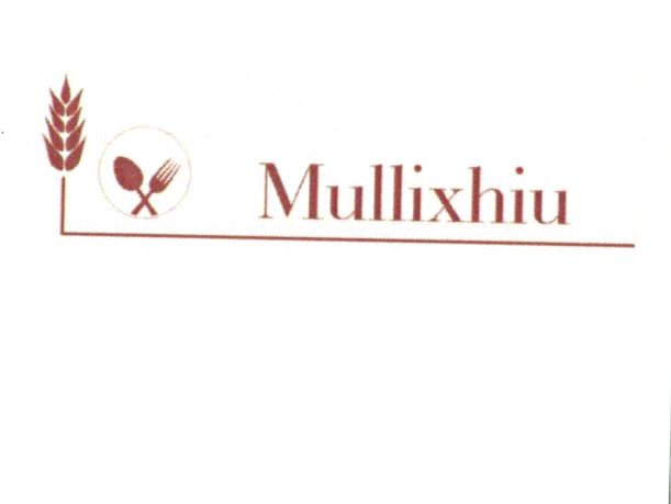 Paraqitja e markës Mullixhiu
