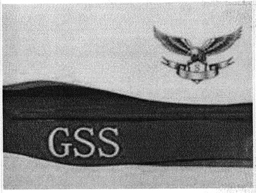 Paraqitja e markës GSS