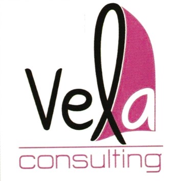 Paraqitja e markës Vela consulting