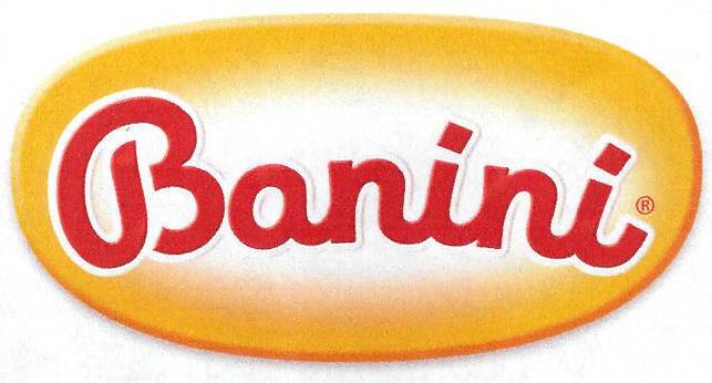 Paraqitja e markës Banini