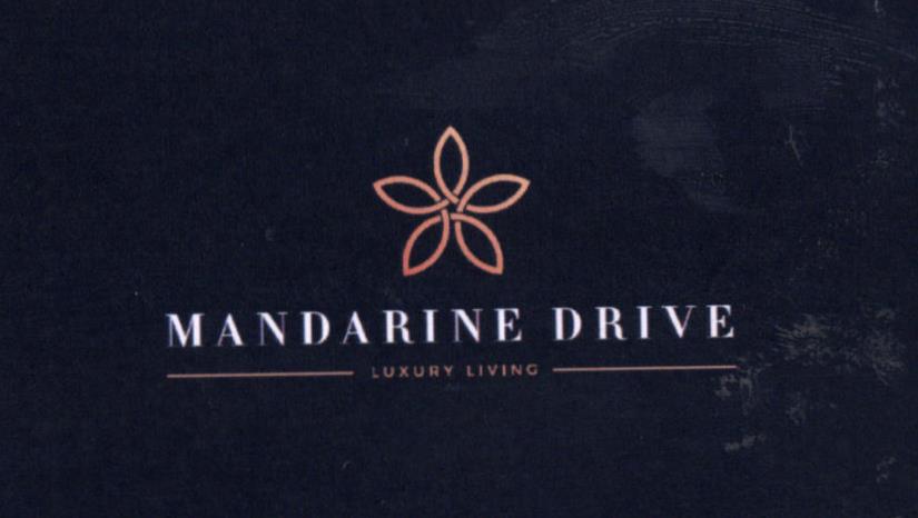 Paraqitja e markës mandarine drive