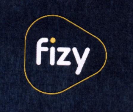 Paraqitja e markës Fizy