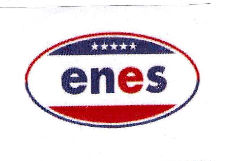 Paraqitja e markës enes