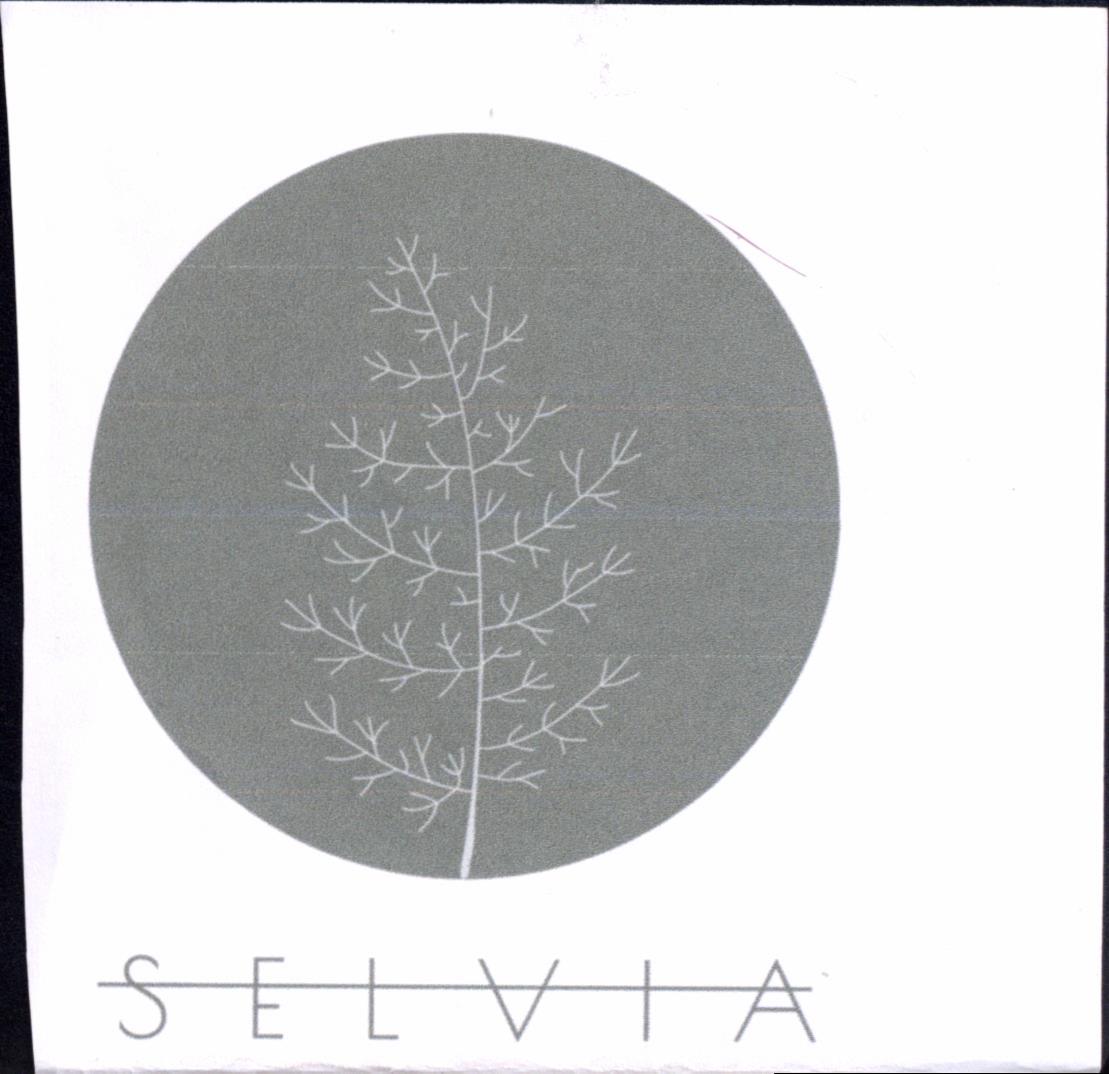 Paraqitja e markës SELVIA