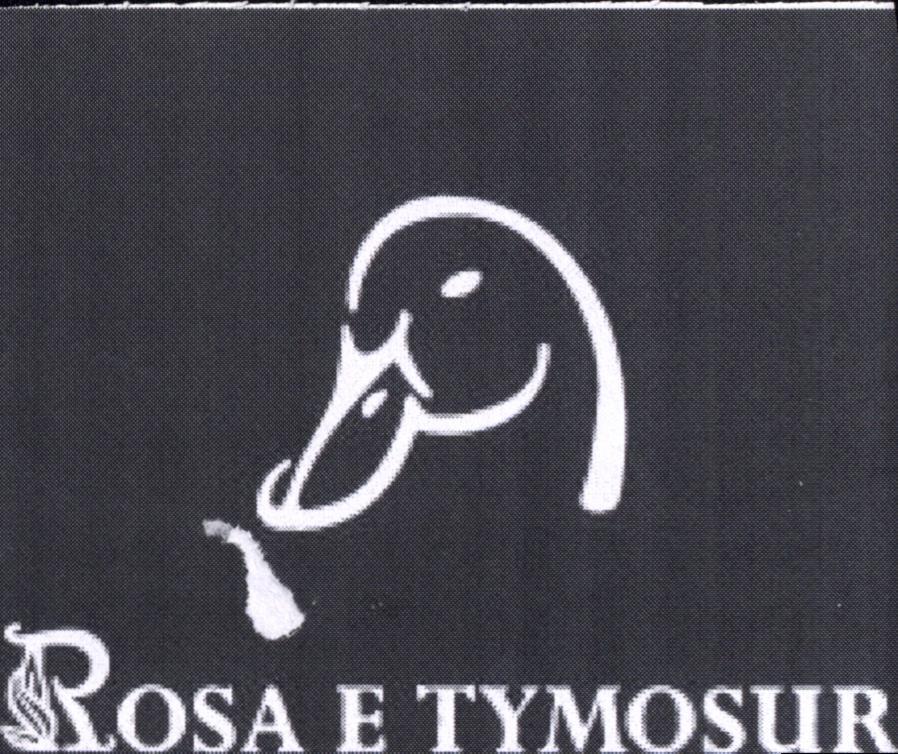 Paraqitja e markës ROSA E TYMOSUR