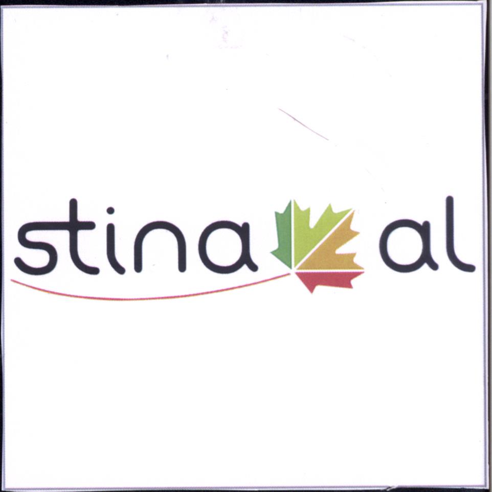 Paraqitja e markës Stina al