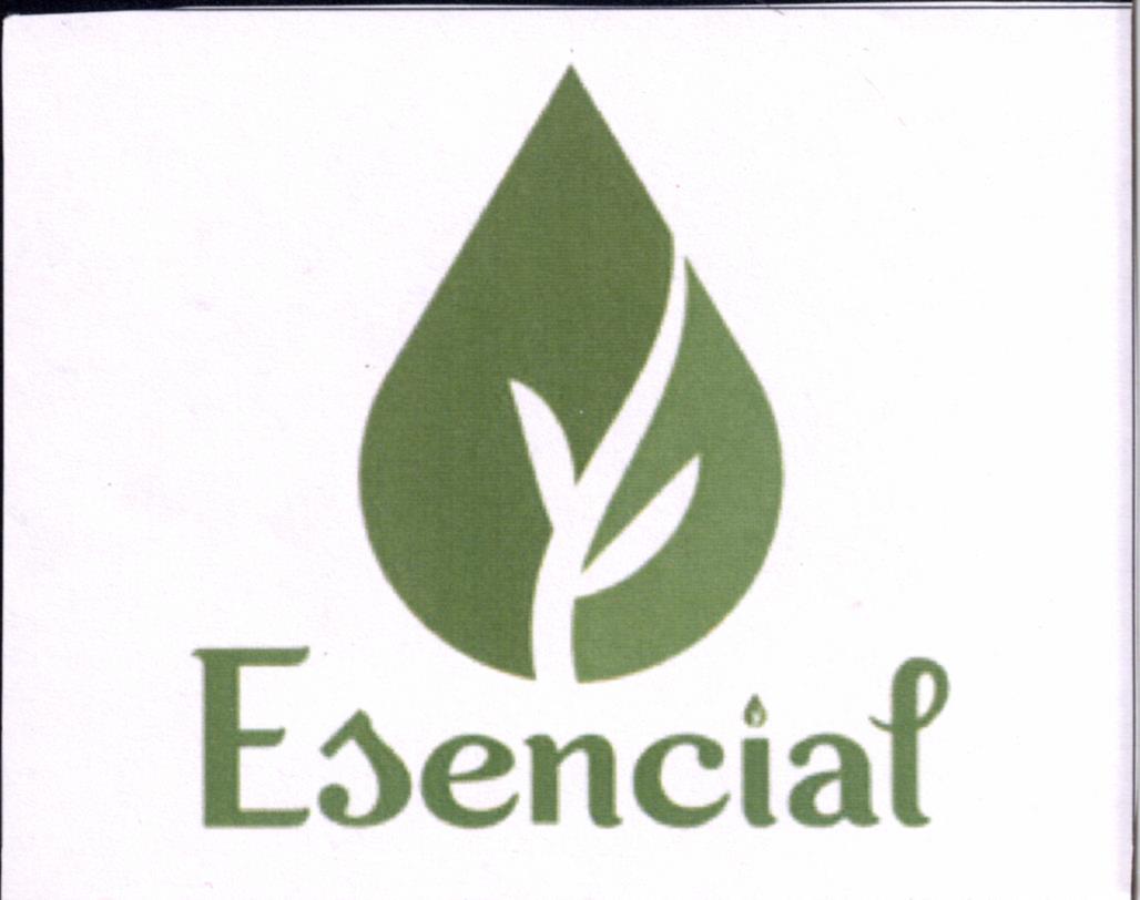 Paraqitja e markës Esencial