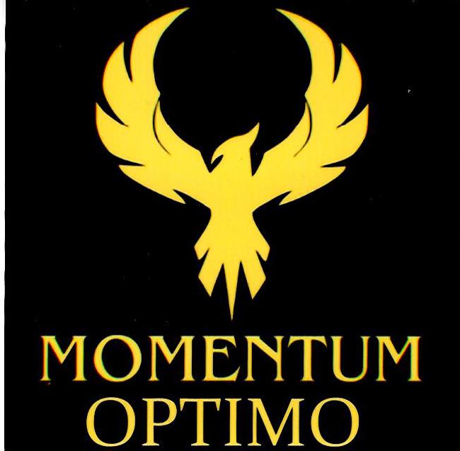 Paraqitja e markës momentum optimo