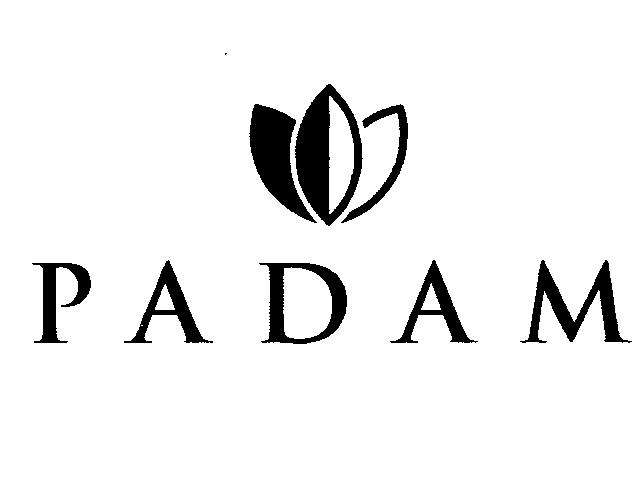 Paraqitja e markës PADAM