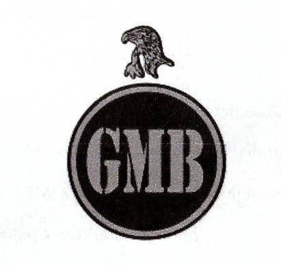 Paraqitja e markës GMB