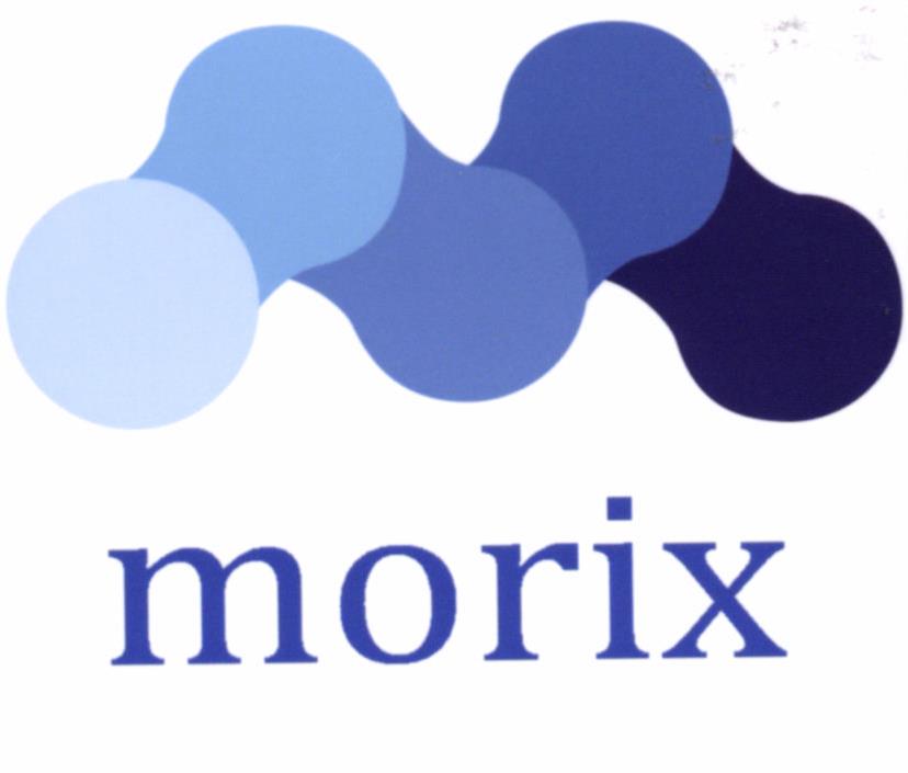 Paraqitja e markës Morix