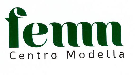 Paraqitja e markës FEMM