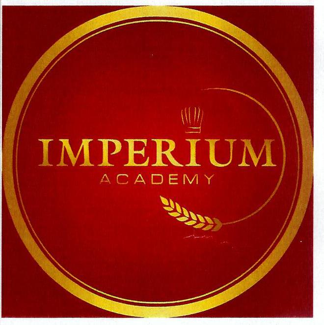 Paraqitja e markës Imperium Academy