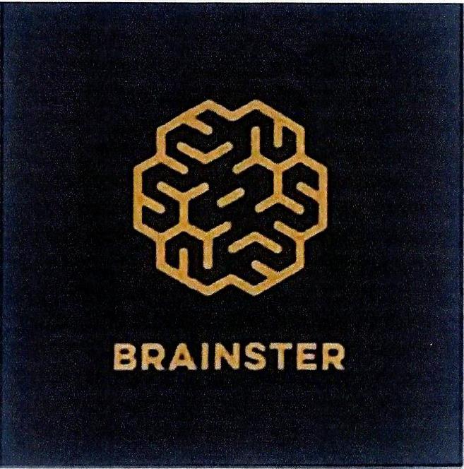 Paraqitja e markës BRAINSTER