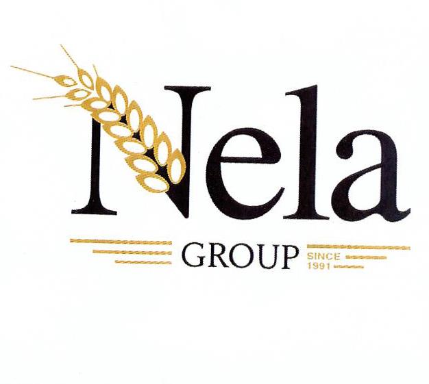 Paraqitja e markës Nela GROUP SINCE 1991