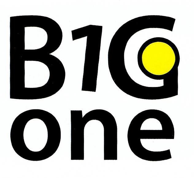 Paraqitja e markës B1G one