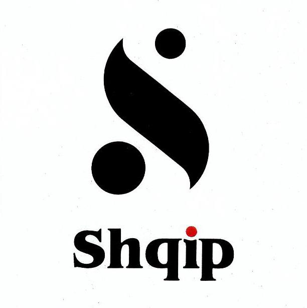 Paraqitja e markës SHQIP