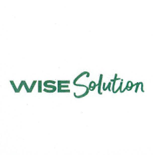 Paraqitja e markës WISE Solution
