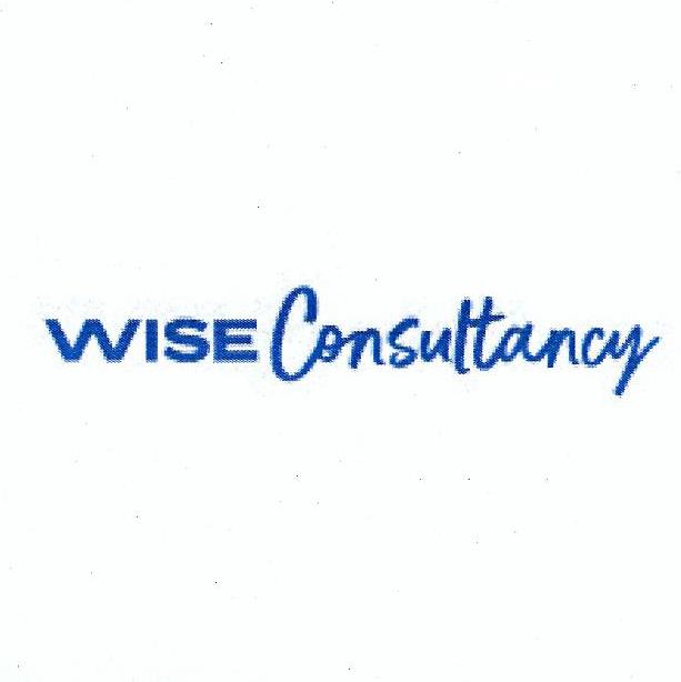 Paraqitja e markës WISE Consultancy