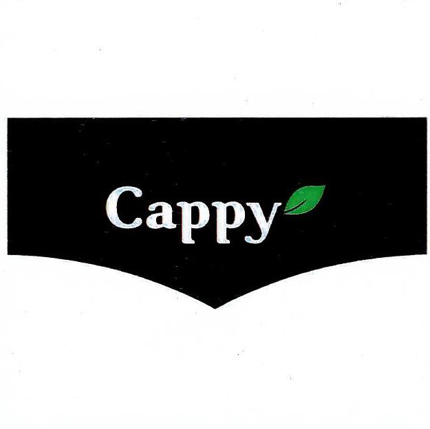 Paraqitja e markës Cappy