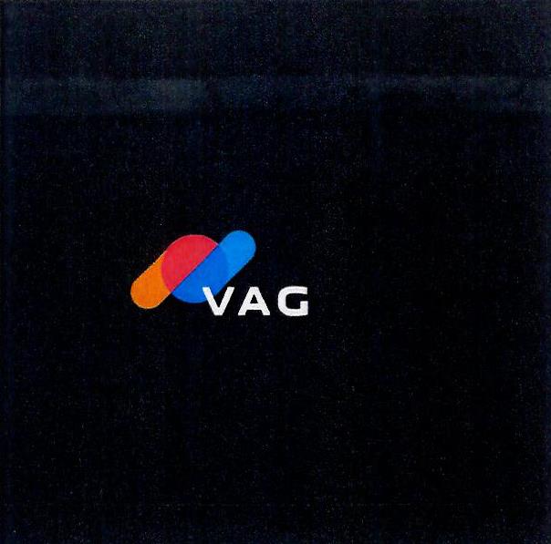 Paraqitja e markës VAG
