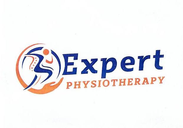 Paraqitja e markës expert physiotherapy