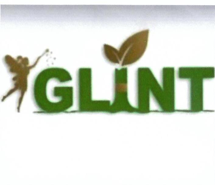 Paraqitja e markës Glint