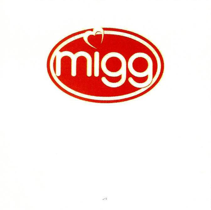 Paraqitja e markës Mi99
