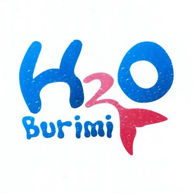 Paraqitja e markës H 2 O BURIMI
