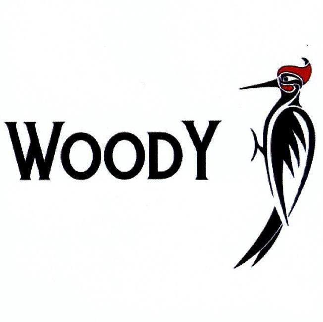 Paraqitja e markës WOODY